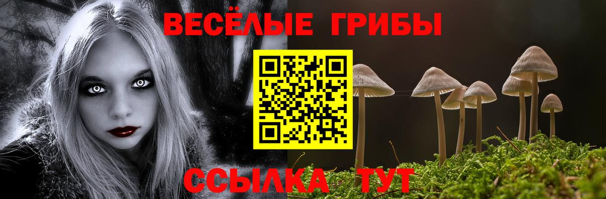 Галлюциногенные грибы прущие грибы  Галлюциногенные грибы прущие грибы  Вход с VPN  Елец 